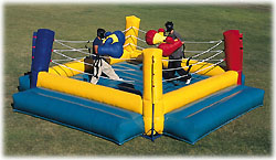Bouncy Boxing IMG 2