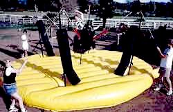 Bungee Bull