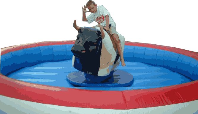 Image result for inflatable bull