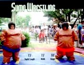 Sumo Wrestling Suits