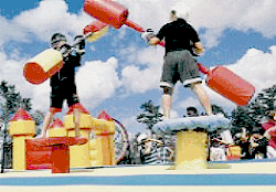 Gladiator Jousting